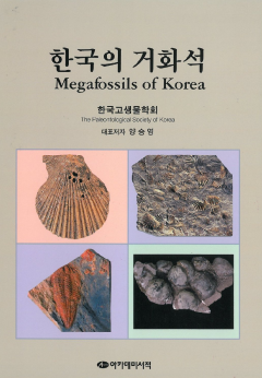 한국의 거화석