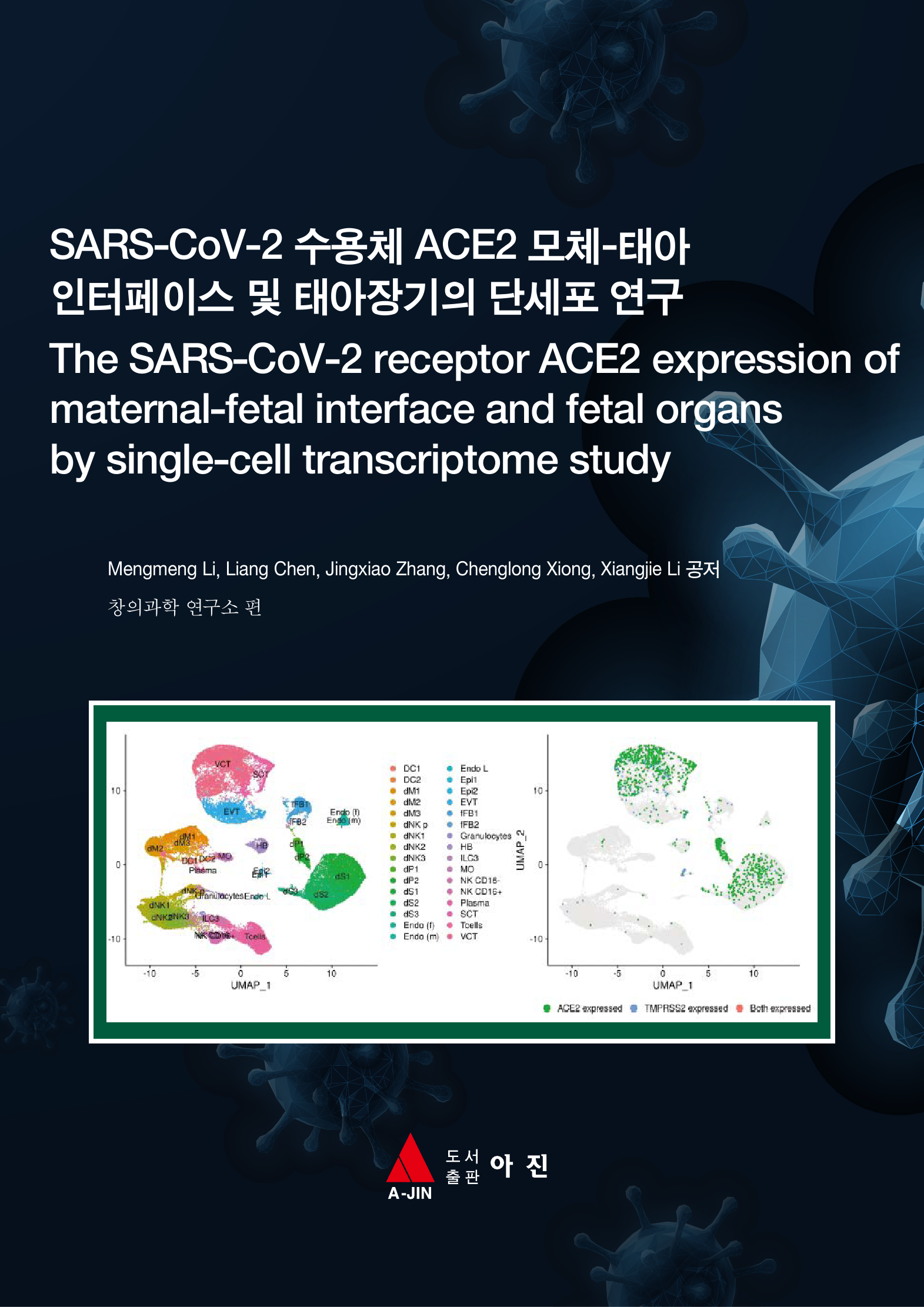 SARS-CoV-2 수용체 ACE2 모체-태아 인터페이스 및 태아장기의 단세포 연구(The SARS-CoV-2 receptor ACE2 expression of maternal-fetal interface and fetal organs by single-cell transcriptome study)