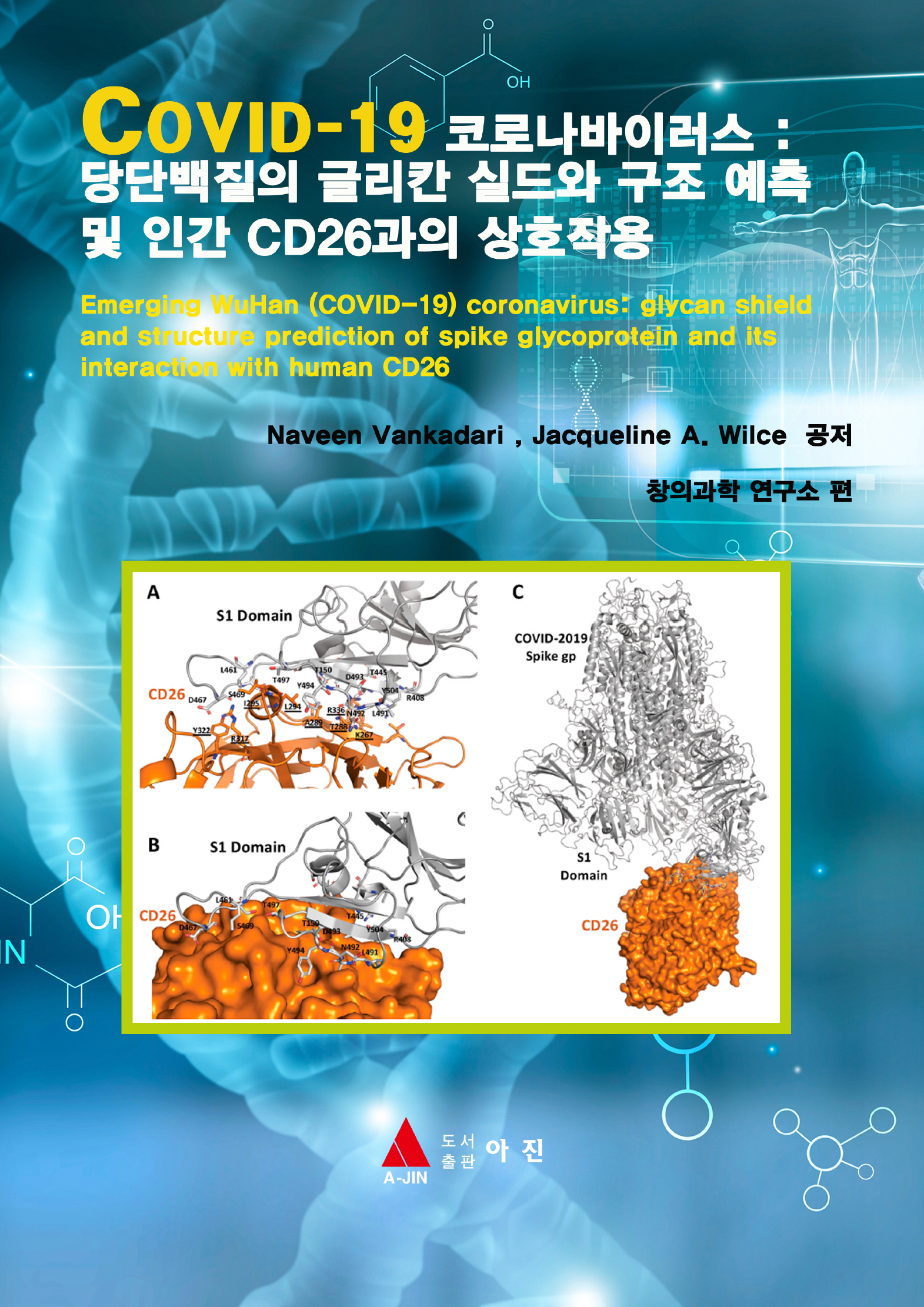 COVID-19 코로나바이러스 : 당단백질의 글리칸 실드와 구조 예측 및 인간 CD26과의 상호작용